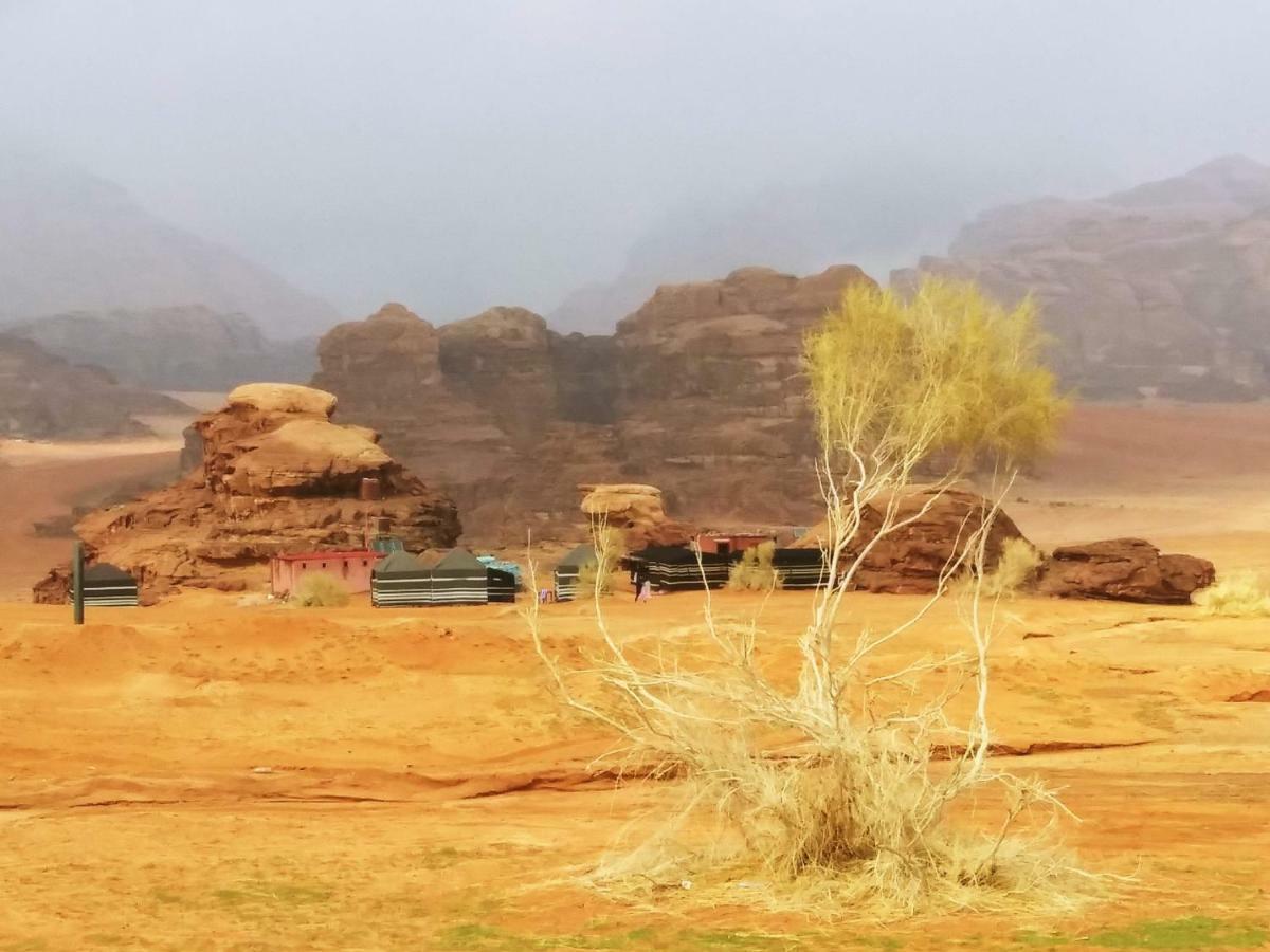 Bedouin Culture Camp وادي رم المظهر الخارجي الصورة